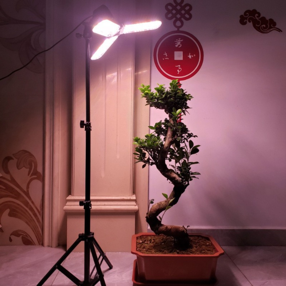 Gloeilampstandaard 2M, E27 AC- - Photography Bulb recensie en prijs